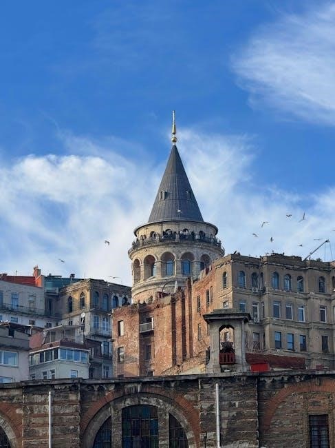 Char Broil Big Easy Manual Comprehensive Guide